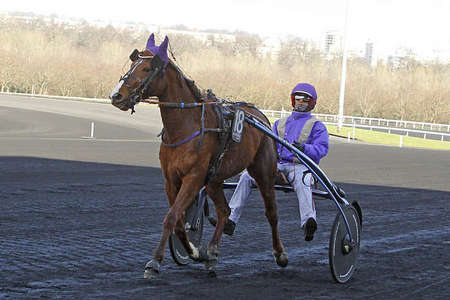 Actualités Hippiques